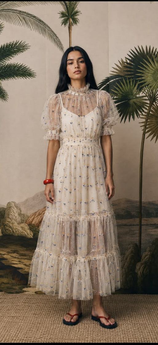 Opera tulle dress