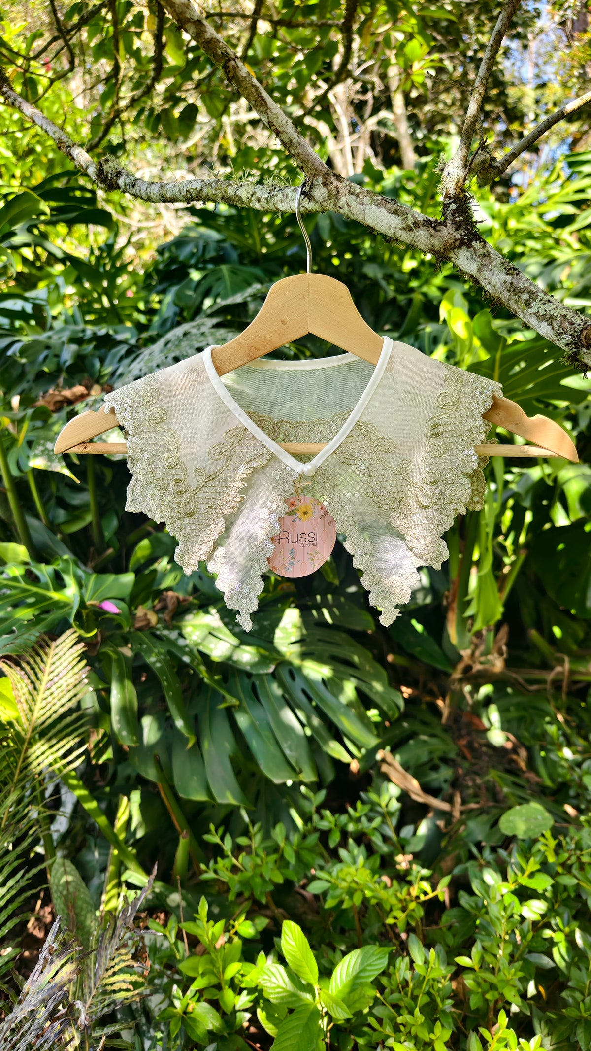 Belgium collar
