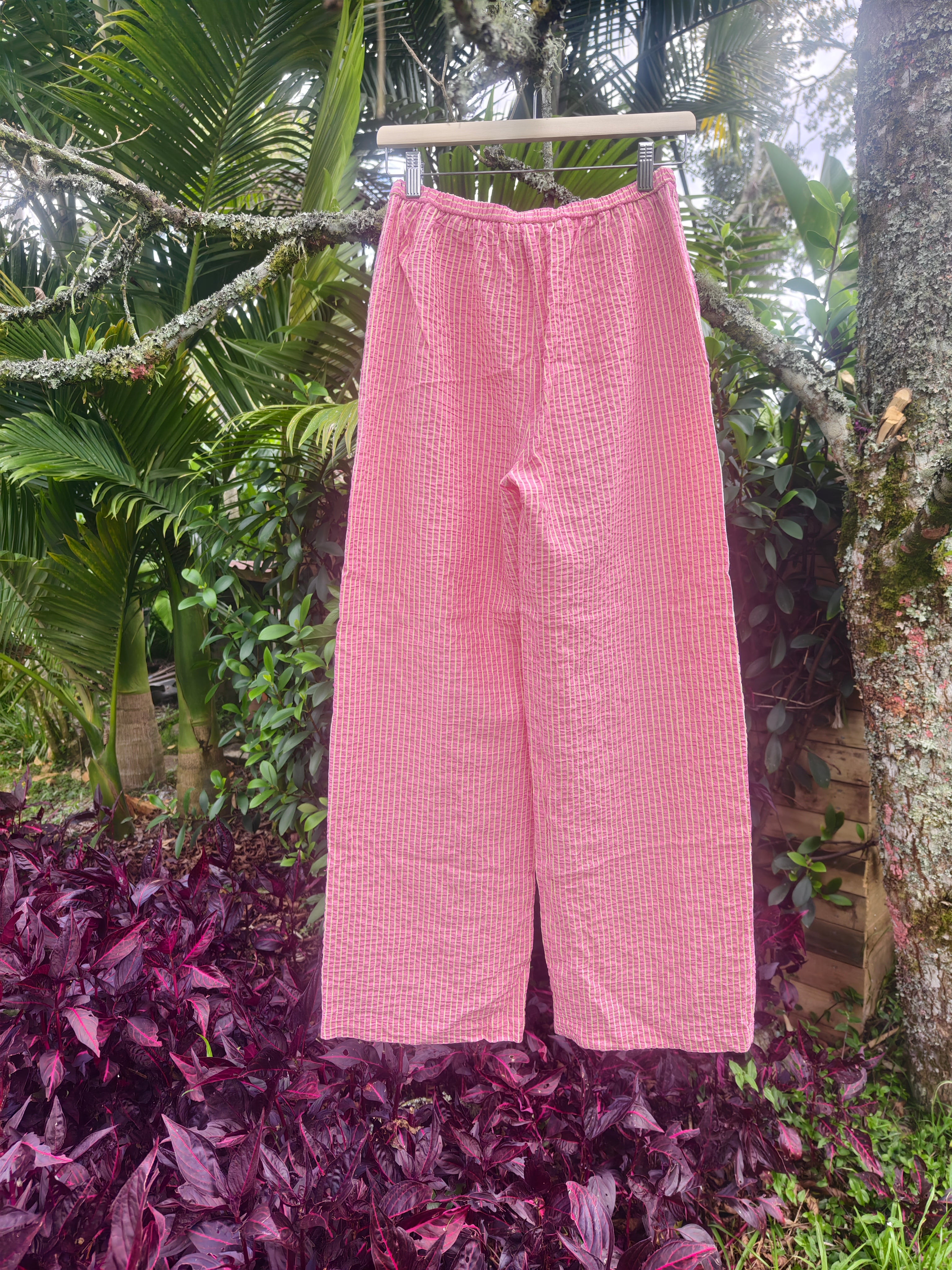 Valencia Pink pants
